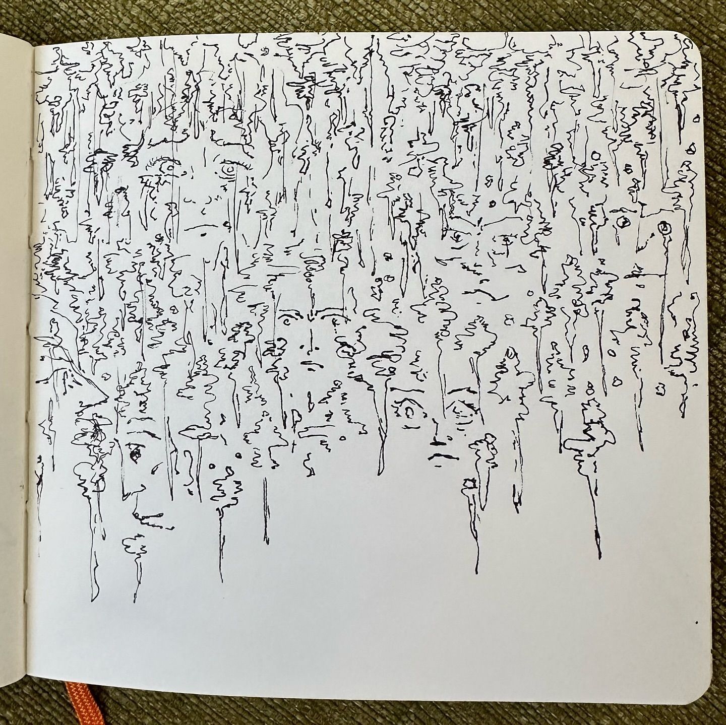 untitled, slide 8 of 13